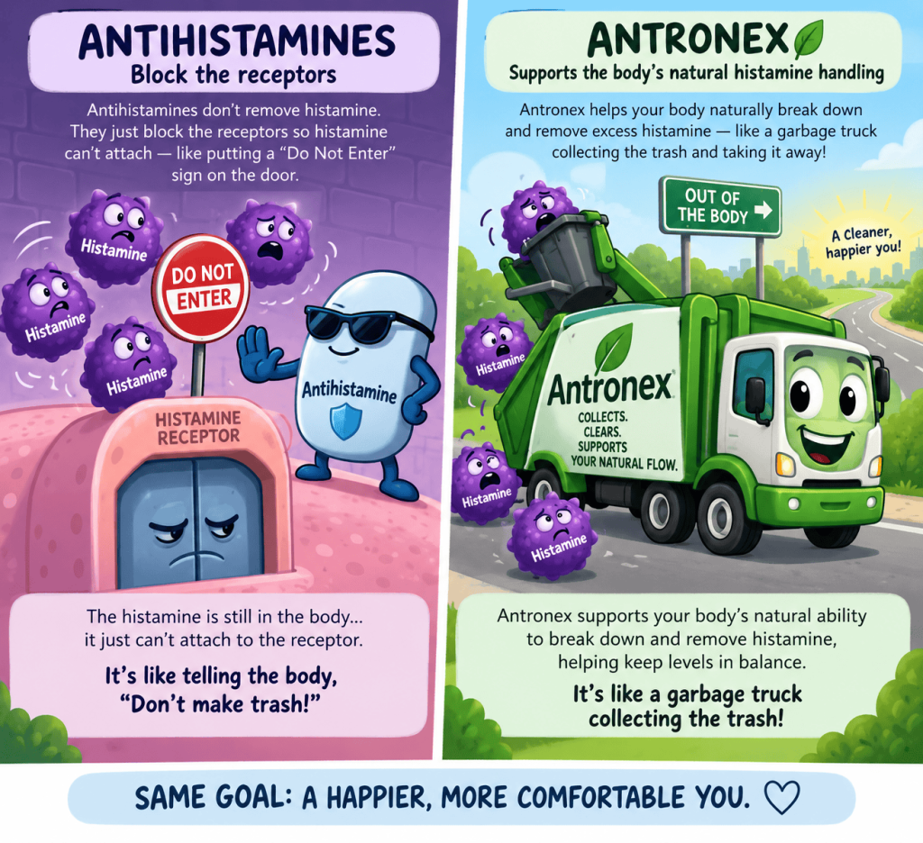 Fall Allergy Help Illustration comparing antihistamines and Antronex for histamine support. Antihistamines are shown blocking histamine receptors, while Antronex is represented as a garbage truck illustrating support for the body's natural histamine handling and clearance.